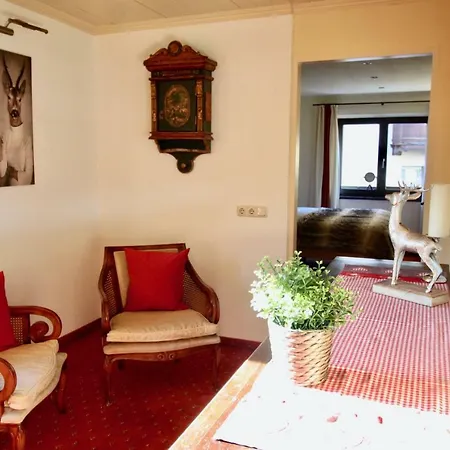 Apartment Belle Kitz Central